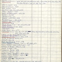 Primary page