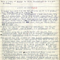 Primary page