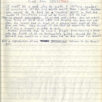 Primary page