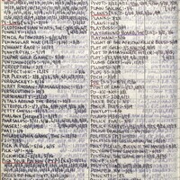 Primary page