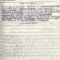 Primary page
