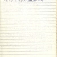 Primary page