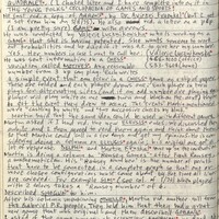 Primary page