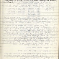Primary page