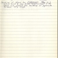 Primary page