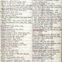 Primary page