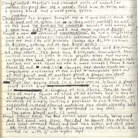 Primary page