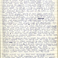 Primary page