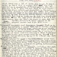 Primary page