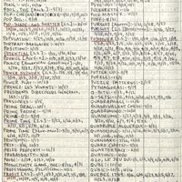 Primary page