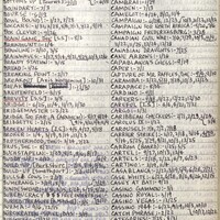 Primary page