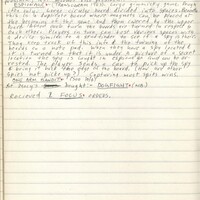 Primary page