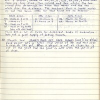 Primary page
