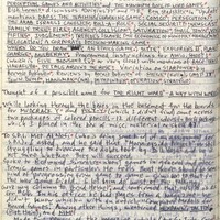 Primary page