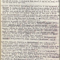 Primary page
