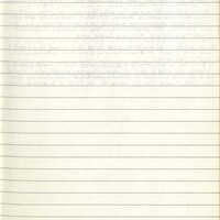 Primary page