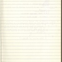 Primary page