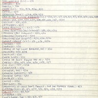 Primary page