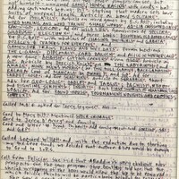 Primary page