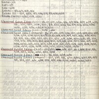 Primary page