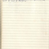 Primary page