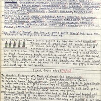 Primary page