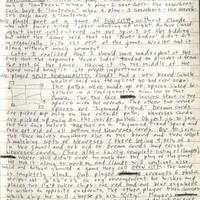 Primary page