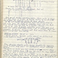 Primary page