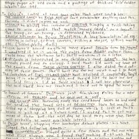Primary page