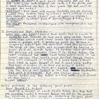 Primary page