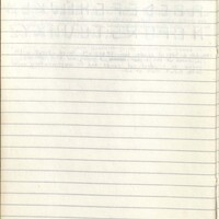 Primary page