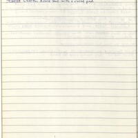 Primary page