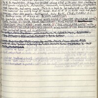 Primary page