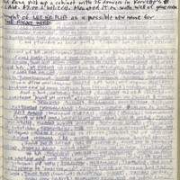 Primary page