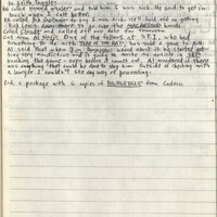 Primary page
