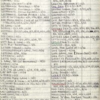Primary page