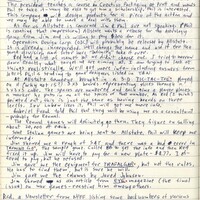 Primary page