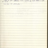 Primary page
