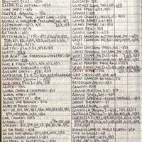 Primary page