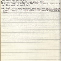 Primary page