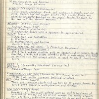 Primary page
