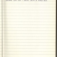 Primary page