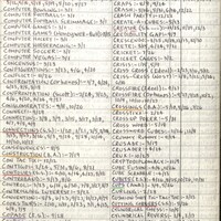 Primary page
