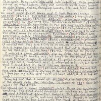 Primary page