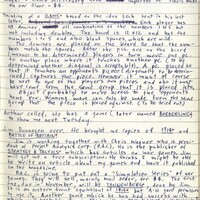 Primary page