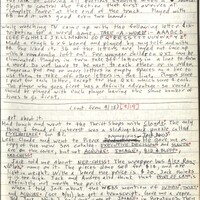 Primary page