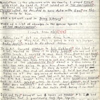 Primary page