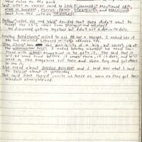 Primary page