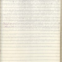 Primary page