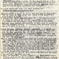 Primary page